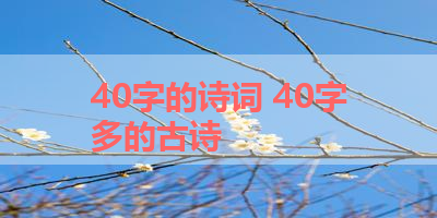40字的诗词 40字多的古诗