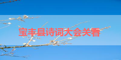 宝丰县诗词大会关看 