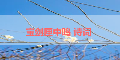 宝剑匣中鸣 诗词 