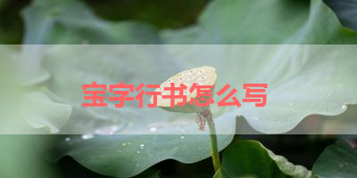 宝字行书怎么写 