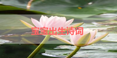 宝宝出生诗词 