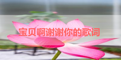 宝贝啊谢谢你的歌词 