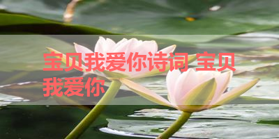 宝贝我爱你诗词 宝贝我爱你