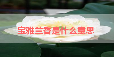宝雅兰香是什么意思 