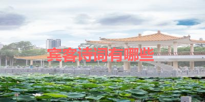 宾客诗词有哪些 