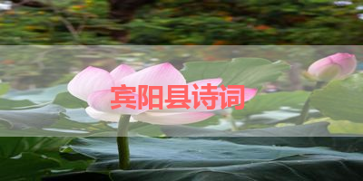 宾阳县诗词 
