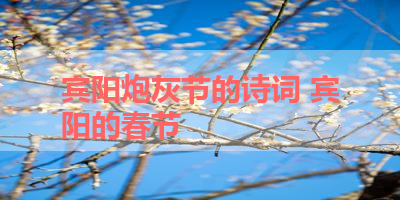 宾阳炮灰节的诗词 宾阳的春节