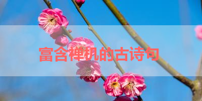 富含禅机的古诗句 