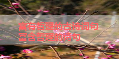 富有哲理的古诗词句 富含哲理的诗句 