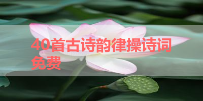40首古诗韵律操诗词免费 