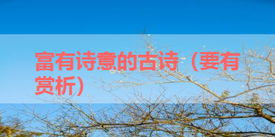 富有诗意的古诗（要有赏析） 