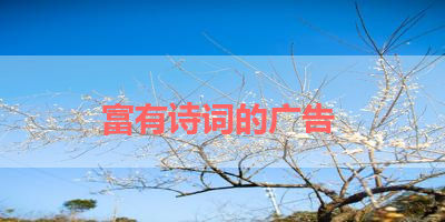 富有诗词的广告 