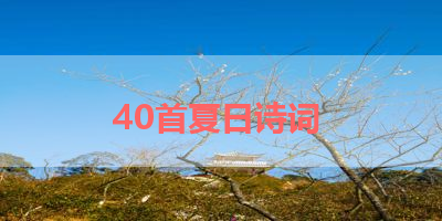 40首夏日诗词 