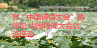 对“中国诗词大会”的评论 中国诗词大会台湾评论