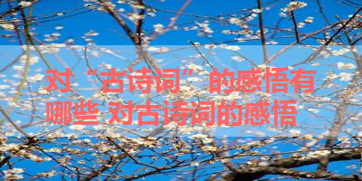对“古诗词”的感悟有哪些 对古诗词的感悟