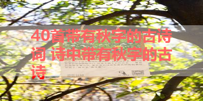 40首带有秋字的古诗词 诗中带有秋字的古诗 