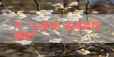 对“古诗词”的感悟有哪些？ 