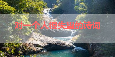 对一个人很失望的诗词 