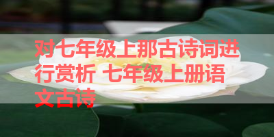 对七年级上那古诗词进行赏析 七年级上册语文古诗 