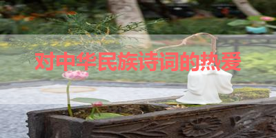 对中华民族诗词的热爱 