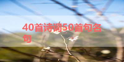 40首诗词50首句名句 