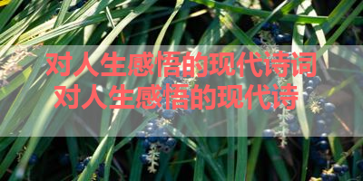 对人生感悟的现代诗词 对人生感悟的现代诗 