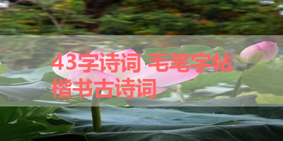 43字诗词 毛笔字帖楷书古诗词