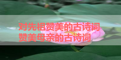 对先祖赞美的古诗词 赞美母亲的古诗词