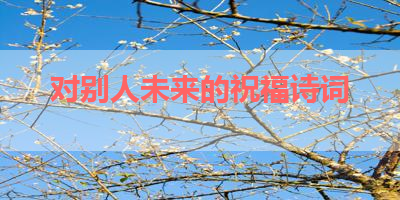 对别人未来的祝福诗词 