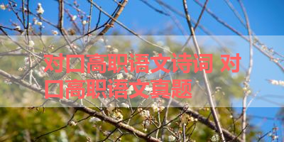 对口高职语文诗词 对口高职语文真题