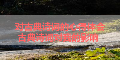 对古典诗词的心得体会 古典诗词对我的影响