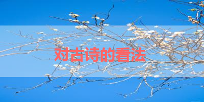 对古诗的看法 