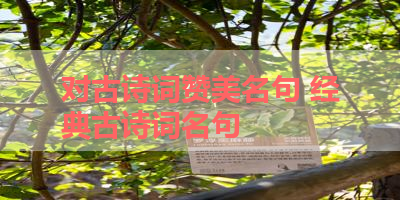对古诗词赞美名句 经典古诗词名句