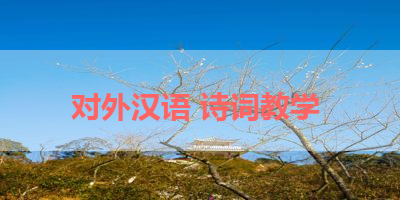 对外汉语 诗词教学 