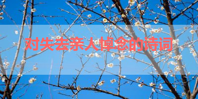对失去亲人悼念的诗词 