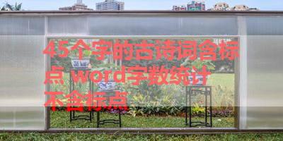 45个字的古诗词含标点 word字数统计不含标点