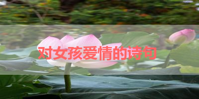 对女孩爱情的诗句 