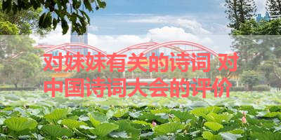 对妹妹有关的诗词 对中国诗词大会的评价