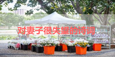 对妻子很失望的诗词 