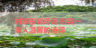 对家形容诗词 形容一家人温馨的诗词