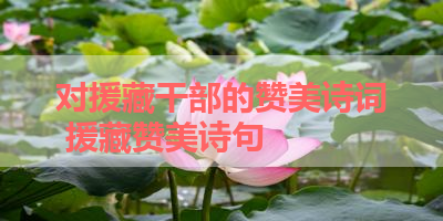 对援藏干部的赞美诗词 援藏赞美诗句