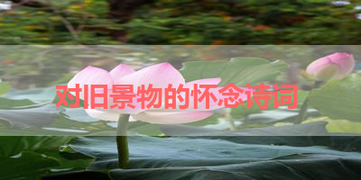 对旧景物的怀念诗词 