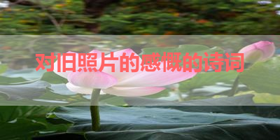 对旧照片的感慨的诗词 