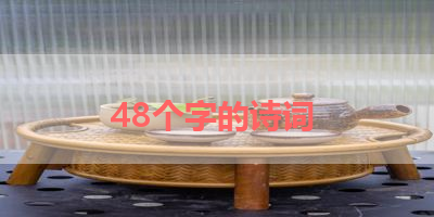 48个字的诗词 