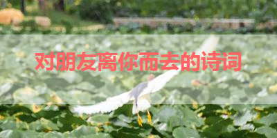 对朋友离你而去的诗词 