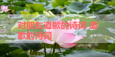 对朋友道歉的诗词 道歉的诗词