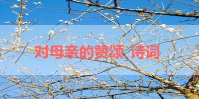 对母亲的赞颂_诗词 
