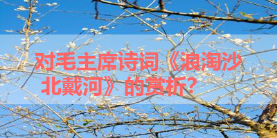 对毛主席诗词《浪淘沙 北戴河》的赏析？ 