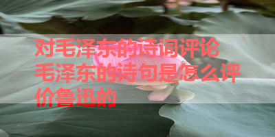 对毛泽东的诗词评论 毛泽东的诗句是怎么评价鲁迅的 