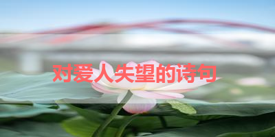 对爱人失望的诗句 